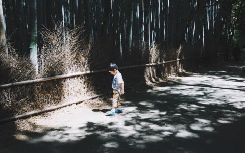 bambino da solo