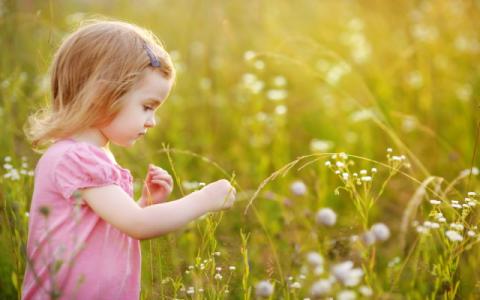 bambina che raccoglie una margherita