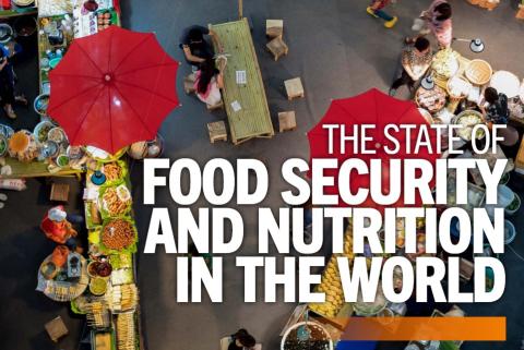 copertina del rapporto The State of Food Security and Nutrition in the World 2025