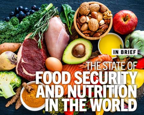 copertina del rapporto The State of Food Security and Nutrition in the World 2026