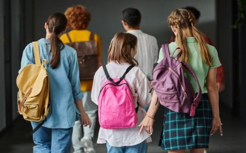studenti di spalle che entrano in classe