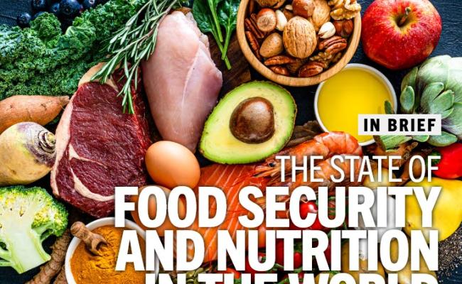 copertina del rapporto The State of Food Security and Nutrition in the World 2026