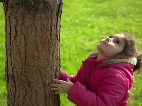 immagine di bambina che tocca il tronco di un albero per evocare il tema dei diritti dei bambini e l'ambiente, al centro del Commento generale n. 26 pubblicato dal Comitato delle Nazioni Unite sui diritti dell’infanzia