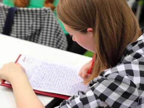 immagine di ragazza che scrive per evocare il tema dellle scuole inclusive per alunni con disabilità