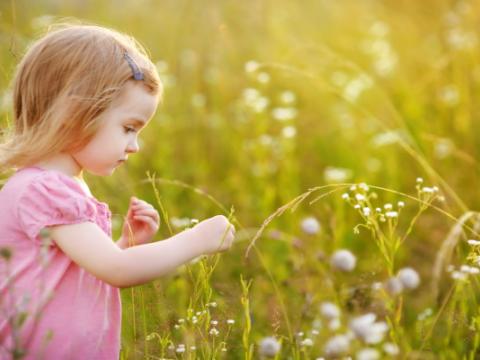 bambina che raccoglie una margherita