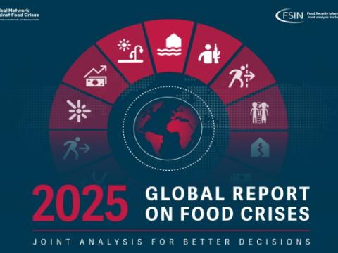 copertina del Rapporto globale sulle crisi alimentari 2025