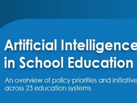 copertina del rapporto Agile Collection of Information  