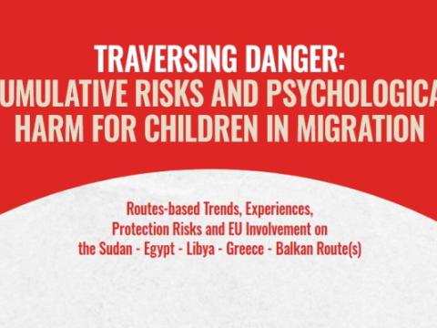 copertina del rapporto Traversing danger